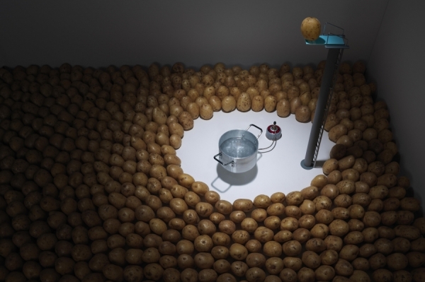 Photograph Andy Rudak Olympic Diving Potato on One Eyeland